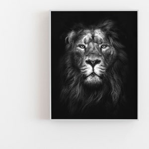 May include: A black and white photograph of a lion's face. The lion is looking directly at the camera with a serious expression. The lion's mane is thick and full, and its fur is soft and fluffy.