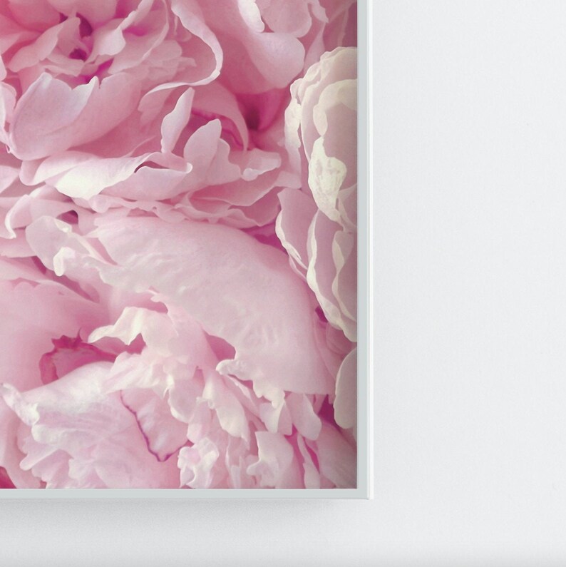 Set of 2 Pink Peonies Print, Pastel Pink Peonies Poster, 2 Pieces Pink ...