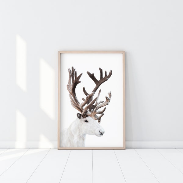 White Reindeer Print, Minimalist Reindeer Poster, White Reindeer Photography, Scandinavian Reindeer Wall Art, Profile Reindeer Printable art