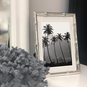 Puede incluir: Un marco de fotos de bamb&uacute; plateado con una fotograf&iacute;a en blanco y negro de palmeras en un paisaje brumoso.