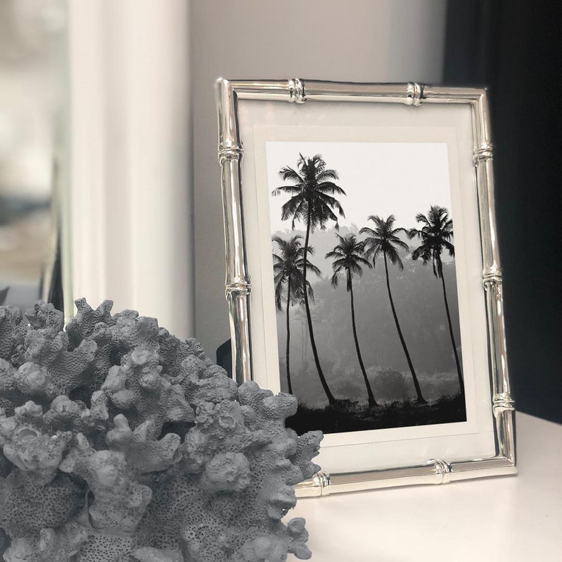 Puede incluir: Un marco de fotos de bamb&uacute; plateado con una fotograf&iacute;a en blanco y negro de palmeras en un paisaje brumoso.