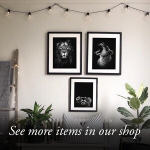 May include: Three black and white framed prints of lion and lioness portraits. The prints are hanging on a white wall with string lights above them. The prints are in a modern style and would look great in a living room or bedroom.