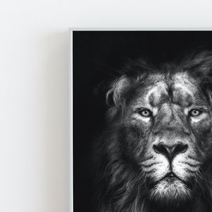 May include: A black and white photograph of a lion's face. The lion has a thick mane and intense eyes. The background is black.