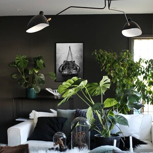 May include: A black and white photograph of a pair of boxing gloves hanging from a hook. The photo is framed and hanging on a dark wall in a living room with plants and a white couch.
