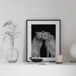 May include: Black and white photograph of two cheetahs cuddling. The cheetahs are in a dark setting and their spots are clearly visible. The photo is framed in a black frame.
