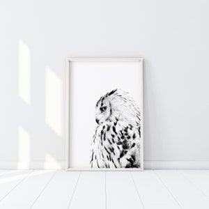 White Owl Print, Minimalist Owl Poster, Black and White Owl Photography, Scandinavian Wall Art, Blue eyed owl Printable, Hedwig Owl Art