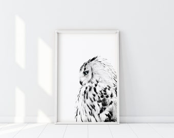 White Owl Print, Minimalist Owl Poster, Black and White Owl Photography, Scandinavian Wall Art, Blue eyed owl Printable, Hedwig Owl Art