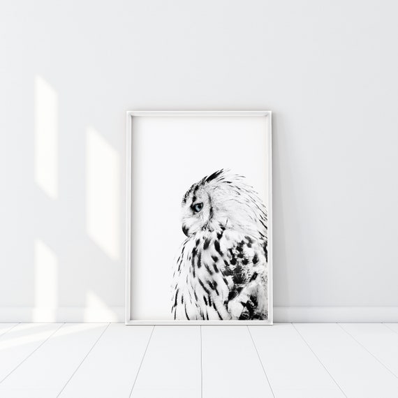 Owl Printables Black And White