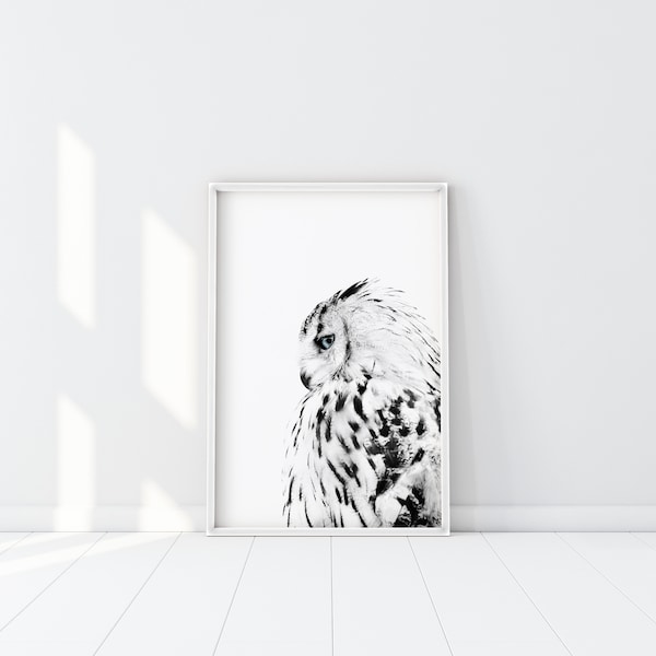 White Owl Print, Minimalist Owl Poster, Black and White Owl Photography, Scandinavian Wall Art, Blue eyed owl Printable, Hedwig Owl Art