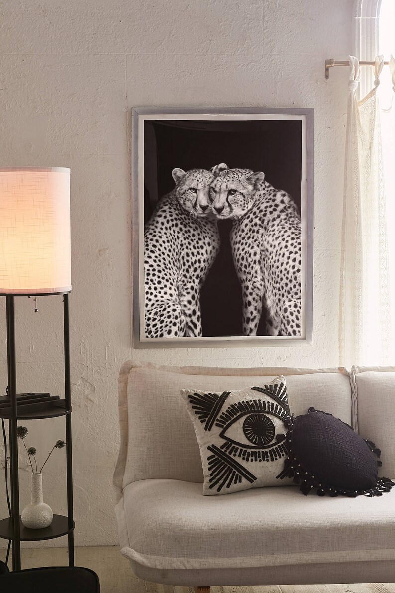 May include: Black and white photograph of two cheetahs nuzzling each other. The photo is framed in a silver frame and hanging on a white wall.