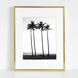 May include: Black and white photograph of three palm trees silhouetted against a cloudy sky. A hammock hangs between two of the trees, and a bicycle is parked in the sand.