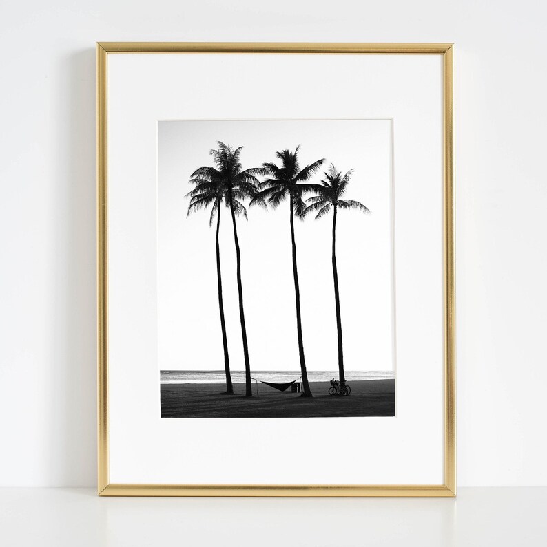 May include: Black and white photograph of three palm trees silhouetted against a cloudy sky. A hammock hangs between two of the trees, and a bicycle is parked in the sand.