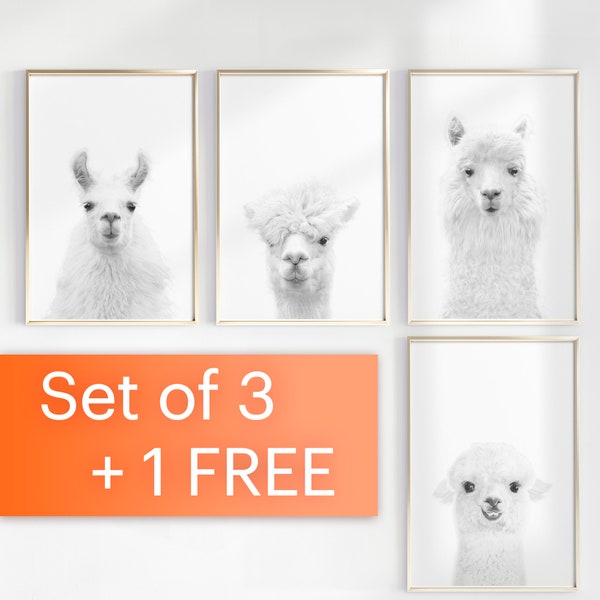 Set of 3 Llama Prints, High Quality Boho Nursery Decor, Alpaca Print, Above Crib Art, Animal Nursery Set Llama Poster, White llamas triptych