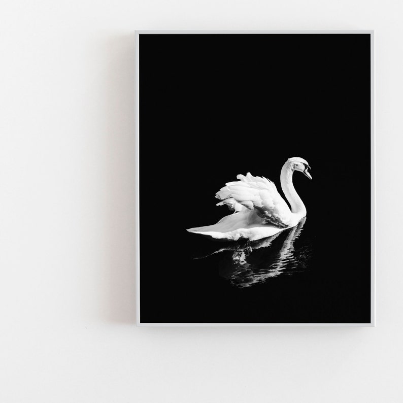 Impresión de cisne blanco, cartel minimalista de cisne, fotografía de cisne blanco y negro, arte de pared de reflejo de espejo, decoración escandinava, pájaro blanco elegante imagen 3