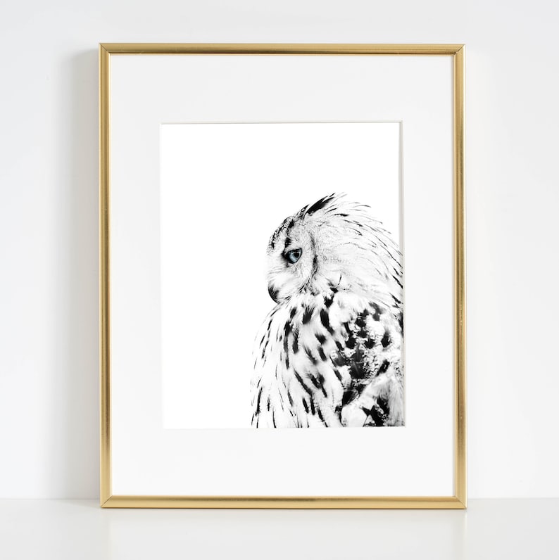 White Owl Print Minimalist Owl Poster Black and White Owl Etsy