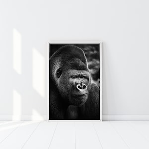 Impresión de gorila negro, cartel de animales safari, arte de animales salvajes, rey gorila de montaña de la selva, fotografía de gorila, arte de gorila macho alfa