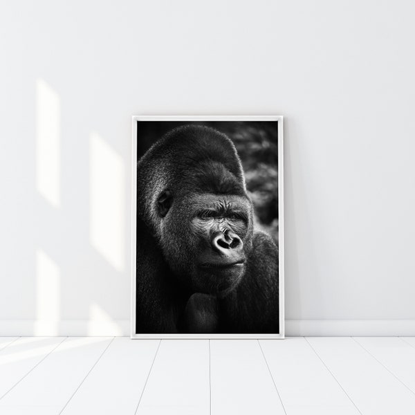 Black Gorilla print, Safari Animal Poster, wild animal Art, Mountain Gorilla King of the jungle, Gorilla photography, Alpha male gorilla art