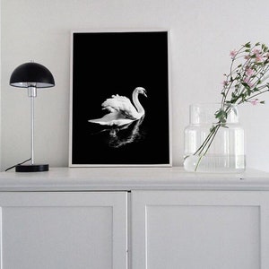 Impresión de cisne blanco, cartel minimalista de cisne, fotografía de cisne blanco y negro, arte de pared de reflejo de espejo, decoración escandinava, pájaro blanco elegante imagen 9