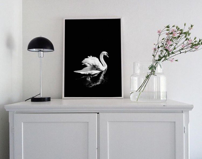 Impresión de cisne blanco, cartel minimalista de cisne, fotografía de cisne blanco y negro, arte de pared de reflejo de espejo, decoración escandinava, pájaro blanco elegante imagen 9