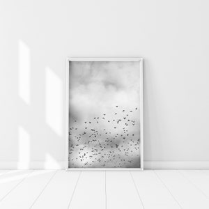 Impresión de bandada de pájaros, cartel del cielo de pájaros, arte minimalista en blanco y negro, pájaros volando en un cielo nublado arte de la pared, volar alto, pájaros volando, regalo del equipo