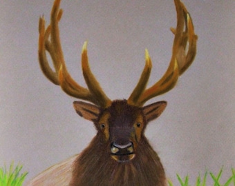 Pintura al pastel de un alce de las Montañas Rocosas: arte original de vida silvestre (23 x 30 cm)