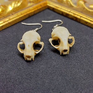 Op de afbeelding: Een paar oorbellen met kleine, gedetailleerde schedelcharms van bot. De schedels zijn licht crème van kleur en hebben een realistisch uiterlijk. De oorbellen hangen aan zilverkleurige haakjes.