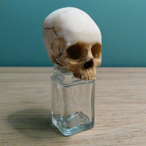 Poison bottle with human skull