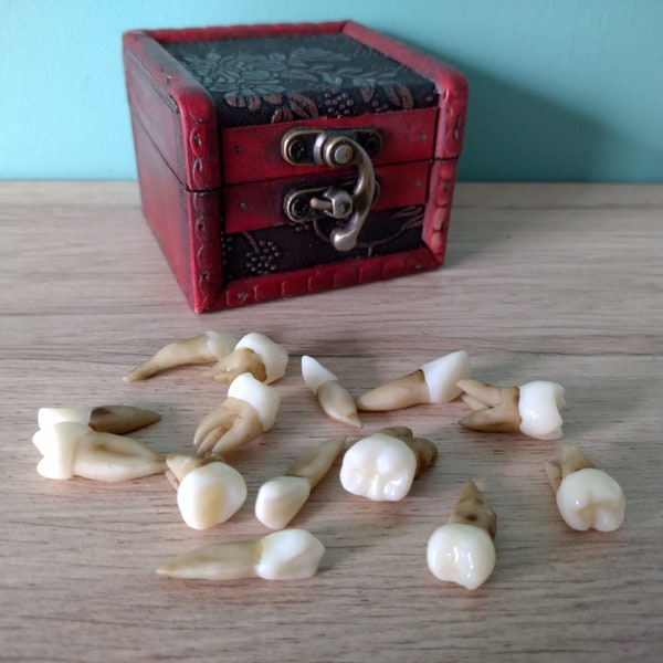 Fake Human Teeth - Etsy