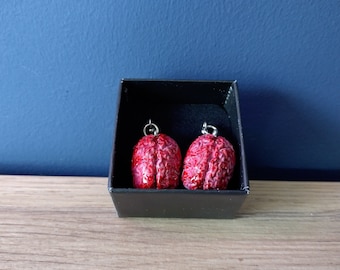 Human brain earrings