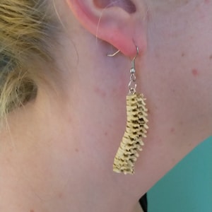 Op de afbeelding: Een paar oorbellen met een uniek ontwerp gemaakt van gestapelde stukken bot-achtig materiaal. De oorbellen zijn zilverkleurig en hangen aan een eenvoudige haak.