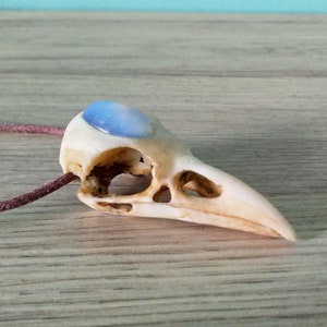 Pode incluir: Um pingente de cr&acirc;nio de p&aacute;ssaro branco com uma gema azul e branca engastada na &oacute;rbita ocular. O pingente est&aacute; preso a um cord&atilde;o de couro marrom.