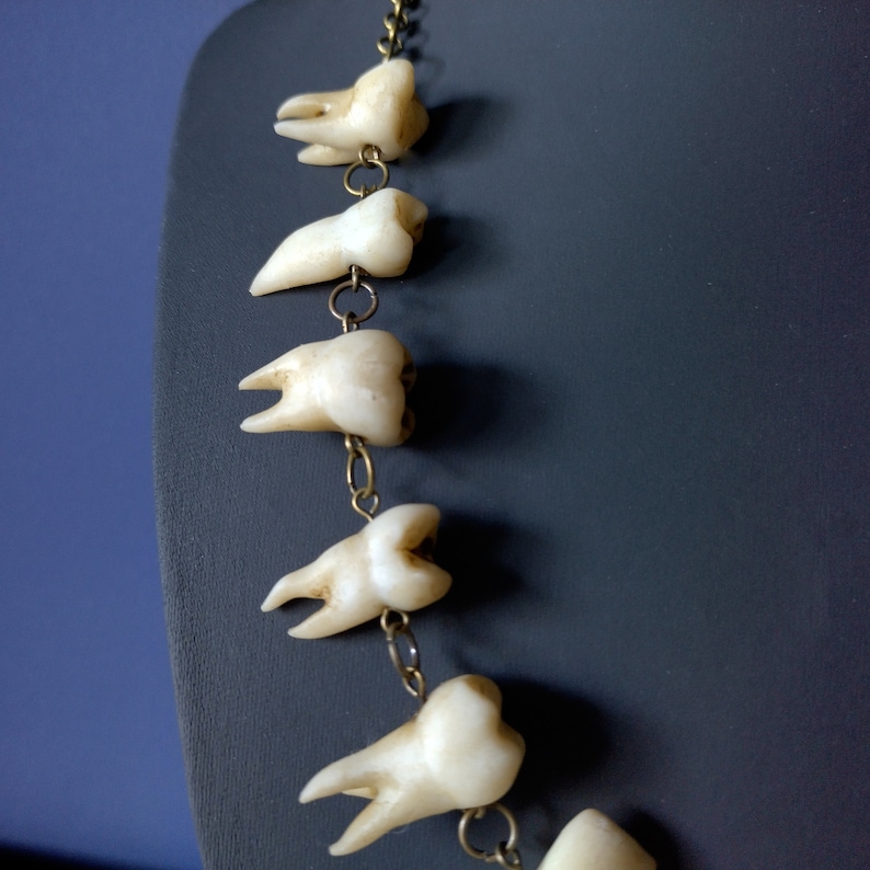 Aged Human Teeth Necklace on Bronze Chain Etsy
