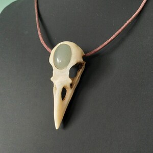 Pode incluir: Um colar com um pingente de cr&acirc;nio de p&aacute;ssaro branco com uma gema verde claro engastada na &oacute;rbita do olho. O colar &eacute; feito de cord&atilde;o marrom.