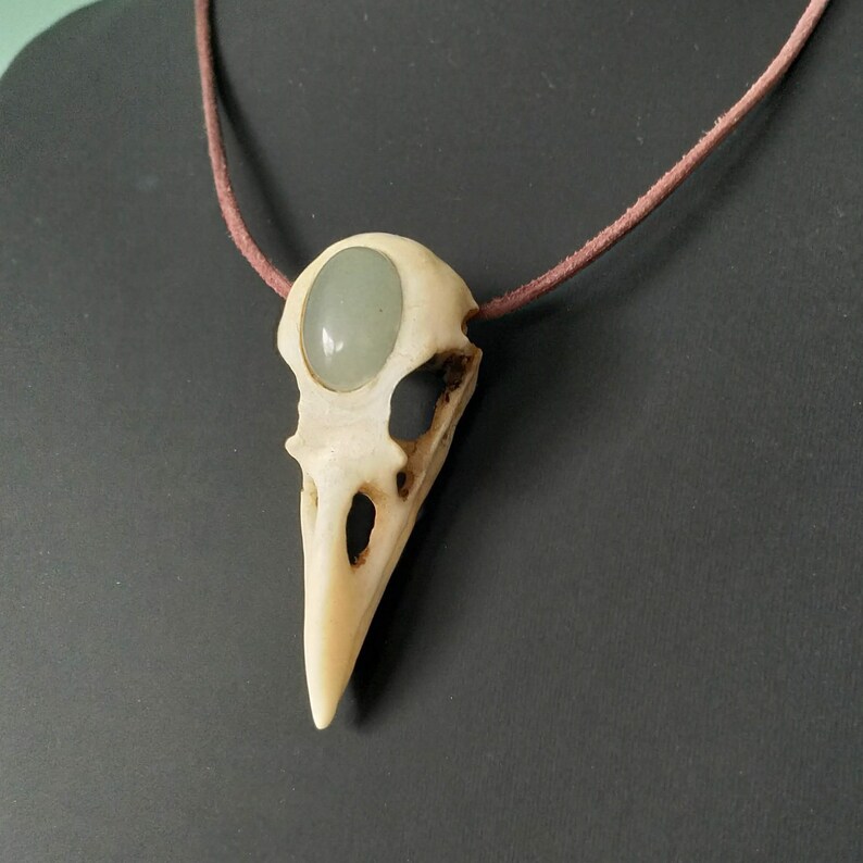 Pode incluir: Um colar com um pingente de cr&acirc;nio de p&aacute;ssaro branco com uma gema verde claro engastada na &oacute;rbita do olho. O colar &eacute; feito de cord&atilde;o marrom.