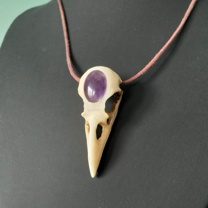 Pode incluir: Um pingente de cr&acirc;nio de p&aacute;ssaro branco com uma gema de ametista roxa engastada na &oacute;rbita ocular. O pingente est&aacute; em um cord&atilde;o de couro marrom.