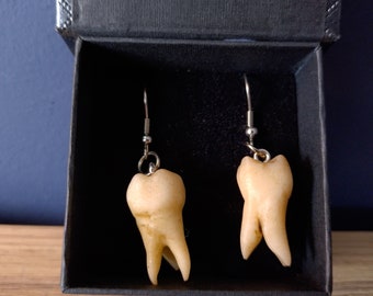 Brincos em formato de dentes humanos - Brincos de molares humanos - Joias curiosas