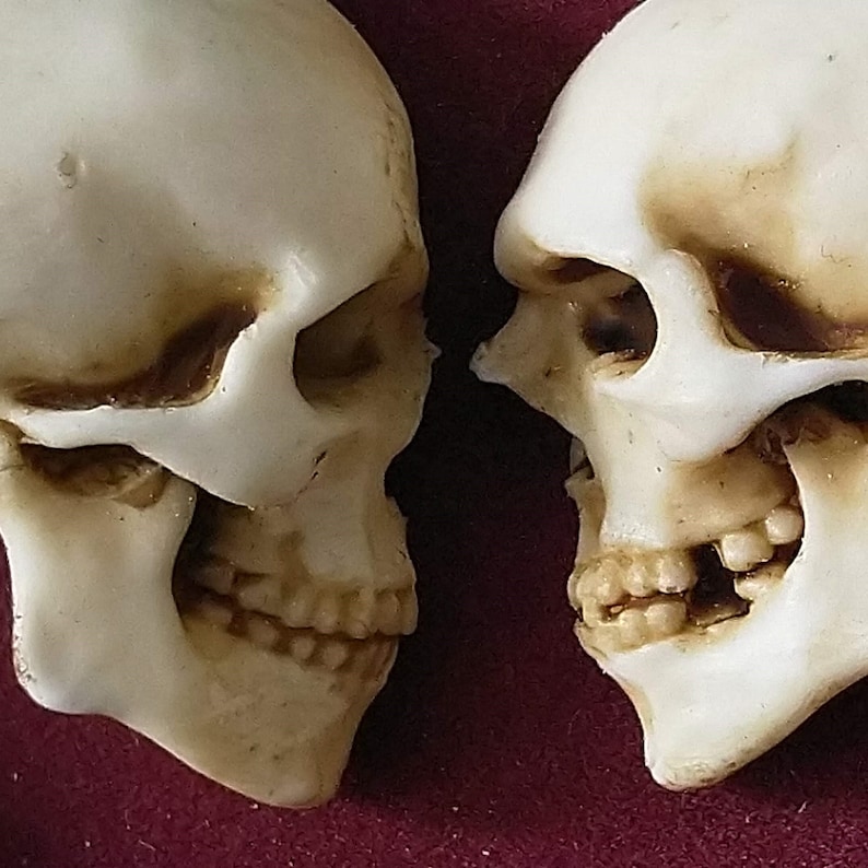 True love is forever framed miniature realistic human skulls Til death do us part 3D Gothic Wall Art image 3