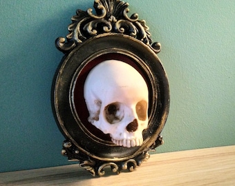 Cute little framed human skull - home decor