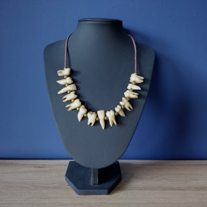Op de afbeelding: Een ketting gemaakt van menselijke tanden met gouden kralen. De ketting wordt getoond op een zwarte mannequinbuste.