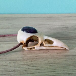 Pode incluir: Um pingente de cr&acirc;nio de p&aacute;ssaro branco com uma gema roxa engastada na &oacute;rbita do olho. O pingente est&aacute; preso a um cord&atilde;o de couro marrom.