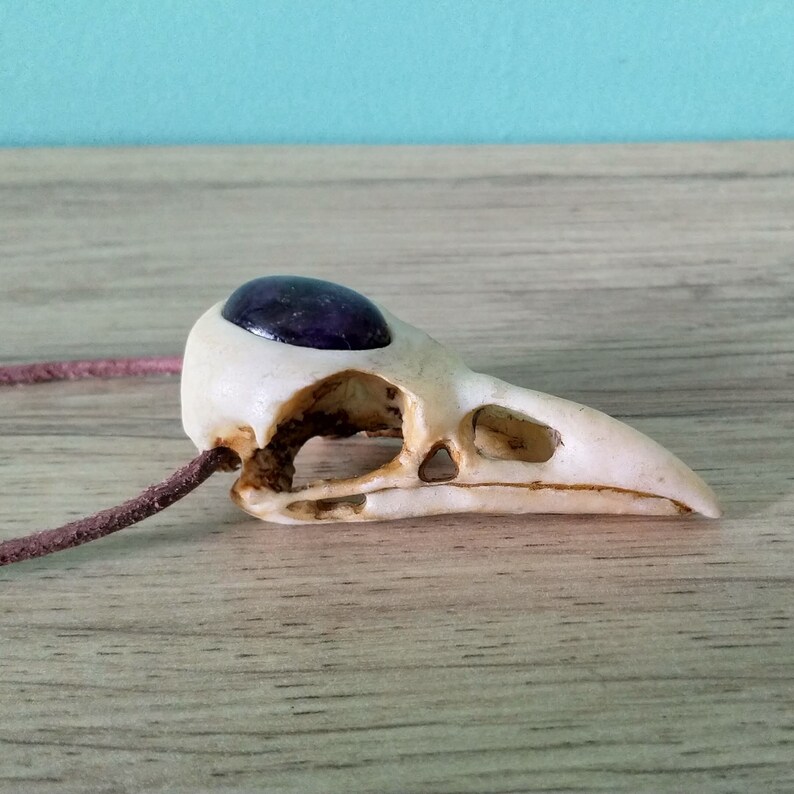 Pode incluir: Um pingente de cr&acirc;nio de p&aacute;ssaro branco com uma gema roxa engastada na &oacute;rbita do olho. O pingente est&aacute; preso a um cord&atilde;o de couro marrom.