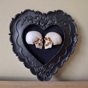 True love is forever - framed miniature realistic human skulls - Til death do us part - 3D Gothic Wall Art