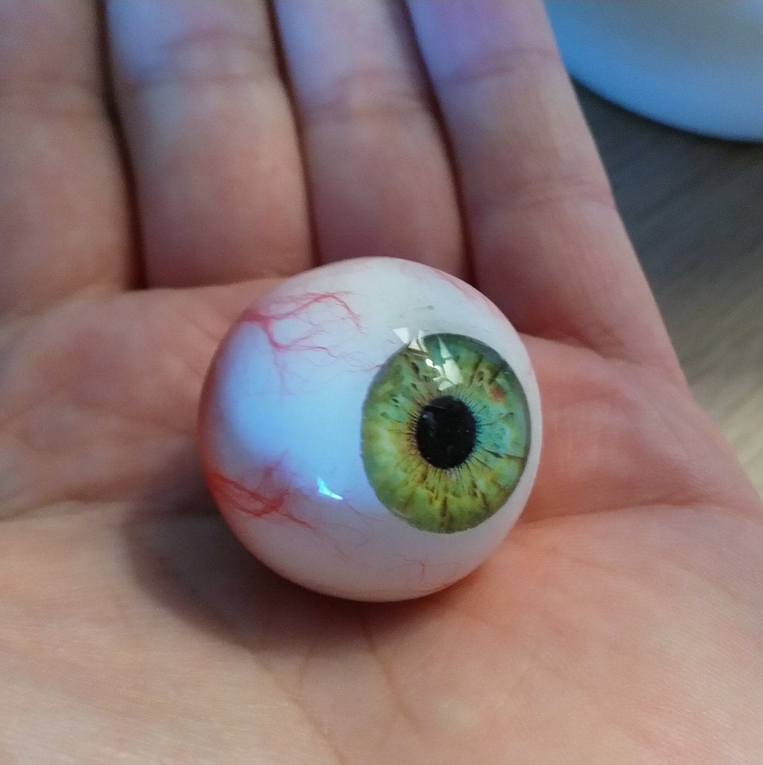 Complete Round Realistic Human Eyeball, Available in 6 Different