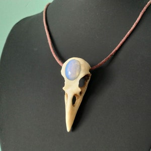 Pode incluir: Um colar com um pingente de cr&acirc;nio de p&aacute;ssaro branco com uma pedra de opala azul engastada na &oacute;rbita ocular. O colar &eacute; feito com um cord&atilde;o de couro marrom.