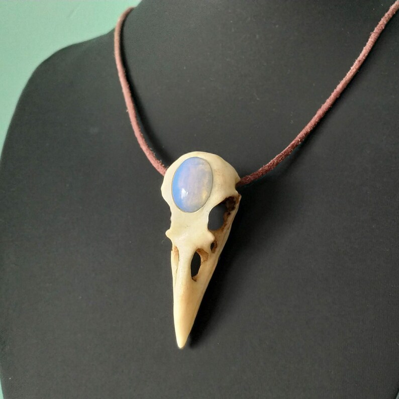 Pode incluir: Um colar com um pingente de cr&acirc;nio de p&aacute;ssaro branco com uma pedra de opala azul engastada na &oacute;rbita ocular. O colar &eacute; feito com um cord&atilde;o de couro marrom.