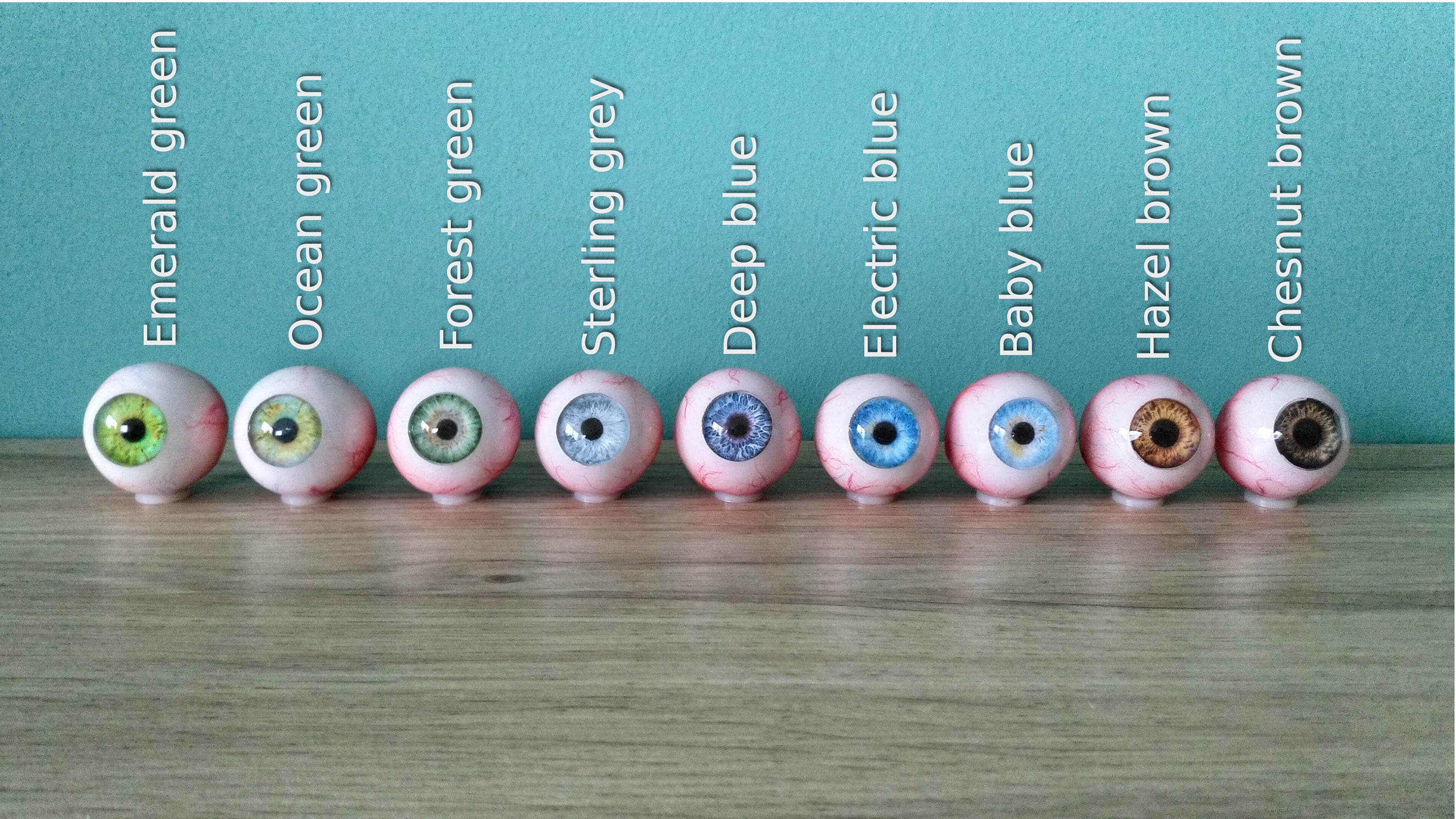 Complete round realistic human eyeballs in 6 different colors Etsy