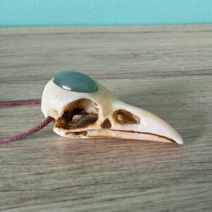 Pode incluir: Um pingente de cr&acirc;nio de p&aacute;ssaro branco com uma gema verde engastada na &oacute;rbita ocular. O pingente est&aacute; preso a um cord&atilde;o de couro marrom.