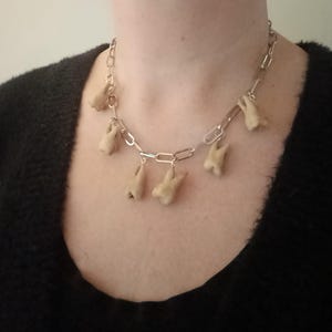 Op de afbeelding: Een zilveren ketting met meerdere tandcharms die eraan hangen. De ketting wordt gedragen door een persoon met een zwarte trui.