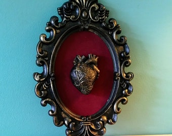 Framed human heart - anatomical human heart oddity - 3D Gothic Wall Art - oddities