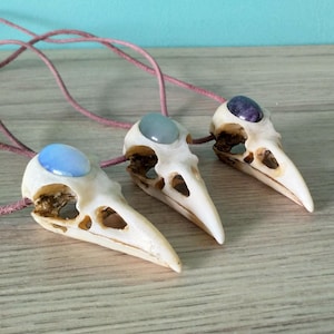 Pode incluir: Tr&ecirc;s colares de cr&acirc;nio de p&aacute;ssaro com detalhes de pedras preciosas de diferentes cores. Os colares s&atilde;o feitos de osso e t&ecirc;m um visual r&uacute;stico e natural. As pedras preciosas s&atilde;o azul claro, verde claro e roxo.